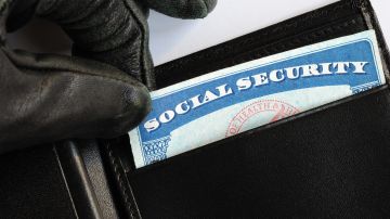 robo seguro social