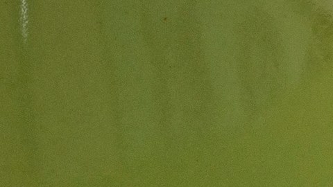 Cheque de estímulo