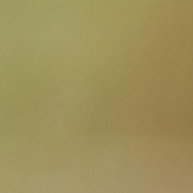 Conductor de camiones blindados