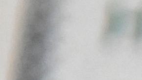 Seguridad de Ingreso Suplementario