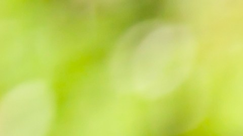Alimentos para adultos mayores