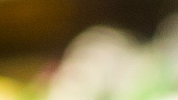 CalFresh Snap de California