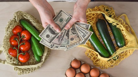 cheque de estímulo de alimentos