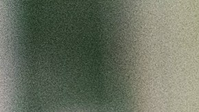 Venmo y Paypal inseguros