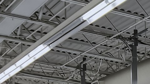 Walmart le está reembolsando el pago total de la membresía Walmart+, a quienes la compraron por su sistema de autopago.