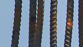 Trabajadores Seguro Social