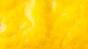 Programa SNAP pagos Nueva Jersey