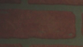 Seguro Social y seguro de desempleo