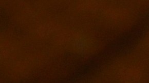 servicio postal estados unidos USPS