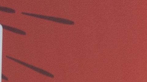 SNAP EBT Doordash