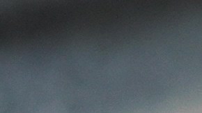 tipos de ingreso en el estado