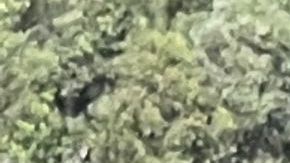 Los hombres pagan más en el seguro de autos que las mueres en casi todo Estados Unidos