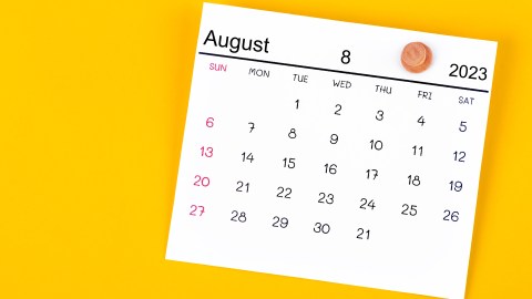 Calendario Seguro Social