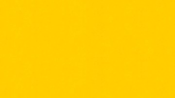 Calendario SNAP Texas