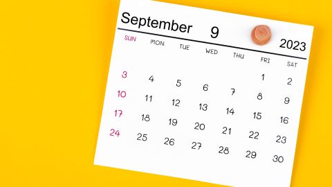 Calendario SNAP Texas