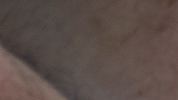 Caza de pitones en Florida