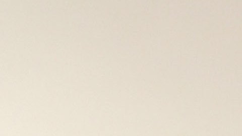 Cheque de estímulo