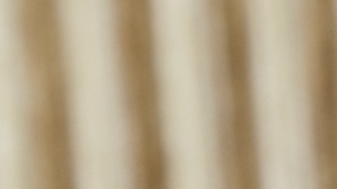 Estados que más dependen del Seguro Social