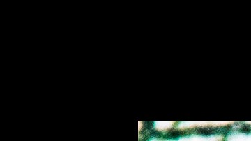 IRS ayuda damnificados