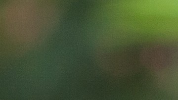 SNAP para estudiantes universitarios