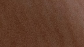 Vivienda unifamiliar de alquiler en EE.UU.