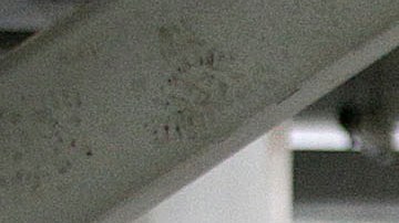 Mejor estado para trabajar en Estados Unidos