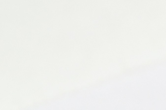 Pagos del Seguro Social