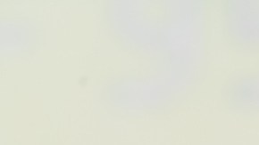 Casas en 5,000 dólares