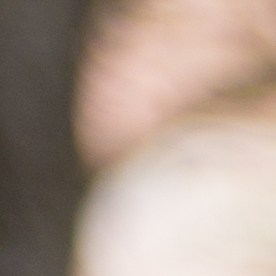 Cheques de Minnesota en la basura