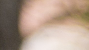 Cheques de Minnesota en la basura