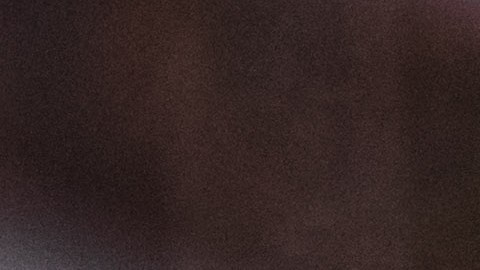 Cupones SNAP