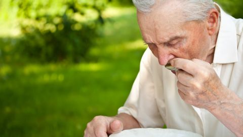 Subsidio de Comestibles de Medicare