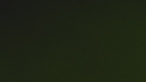 Vales de ayuda para el alquiler