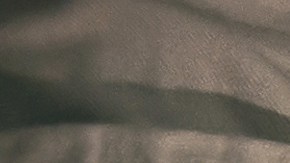 Cena de Thanksgiving Day