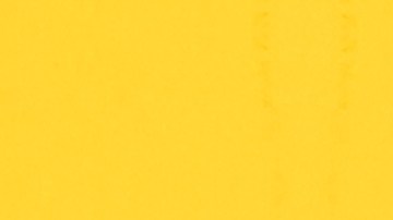 Fechas de cupones de alimentos SNAP