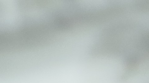 Cheque de estímulo
