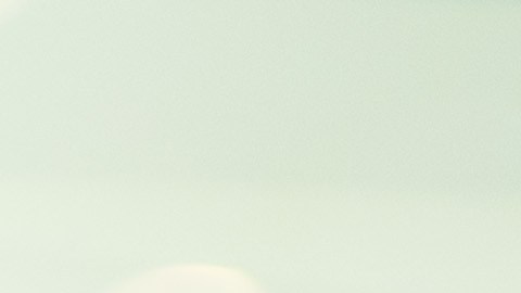 Turbotax