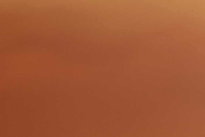 Aplicación prevención de estafas SNAP en California