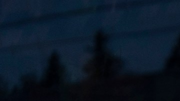 Cupones SNAP y Black Friday