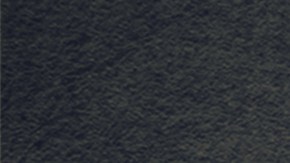 Espera de los cupones de alimentos SNAP