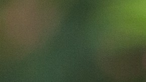 SNAP para estudiantes