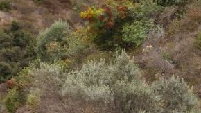 Chevrolet Blazer EV 2024