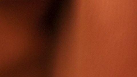 Estímulo económico Estados Unidos