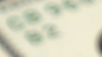 Impuestos del IRS sobre el pago de Minnesota