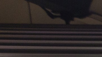 Adulto mayor en Estados Unidos