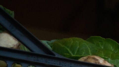 Empleado agrícola