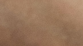 Cheque de estímulo