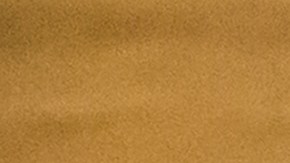 Declaración de impuestos de las propinas