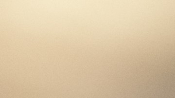 Impuestos de las propinas