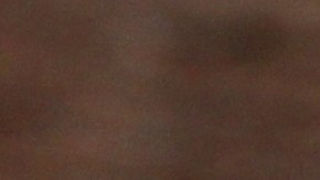 Ingresos CalFresh SNAP